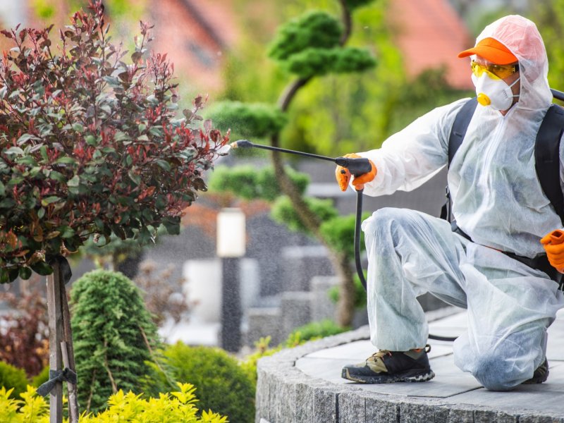 Safranbolu Haşere İlaçlama